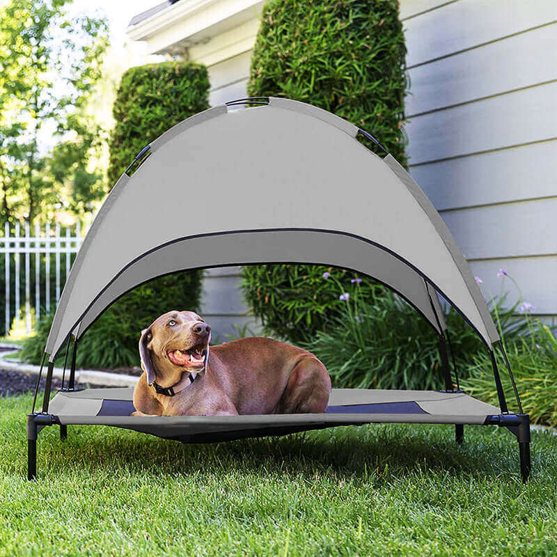 Dog Outdoor Bed - Dog