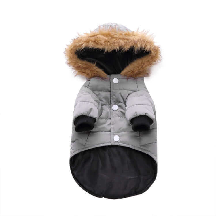 Winter Clothing For Dogs - Dog