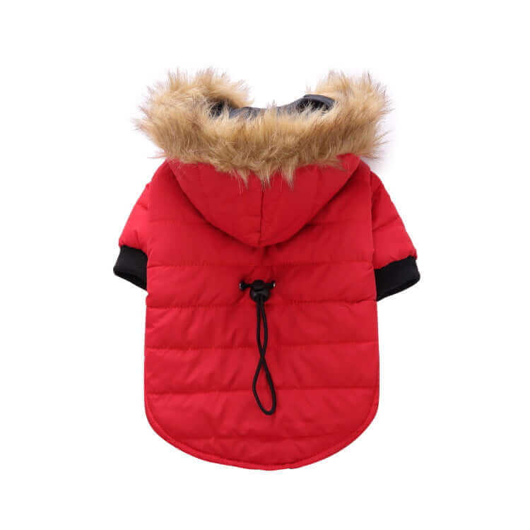 Winter Clothing For Dogs - Dog