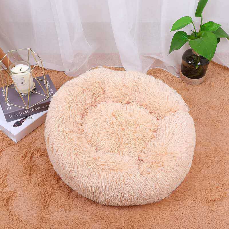 Pet Plain Bed - Dog and Cats