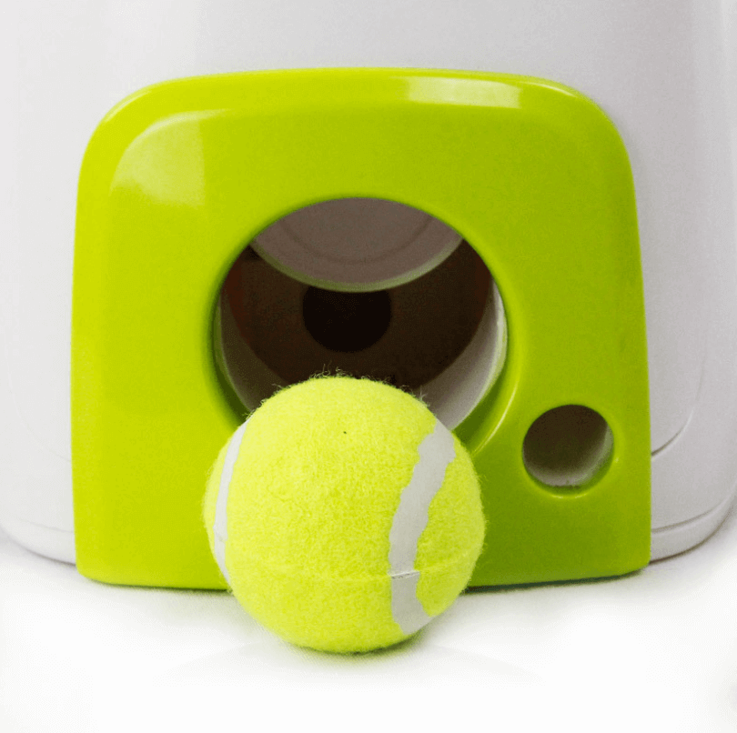 Dog Tennis Machines - Dog