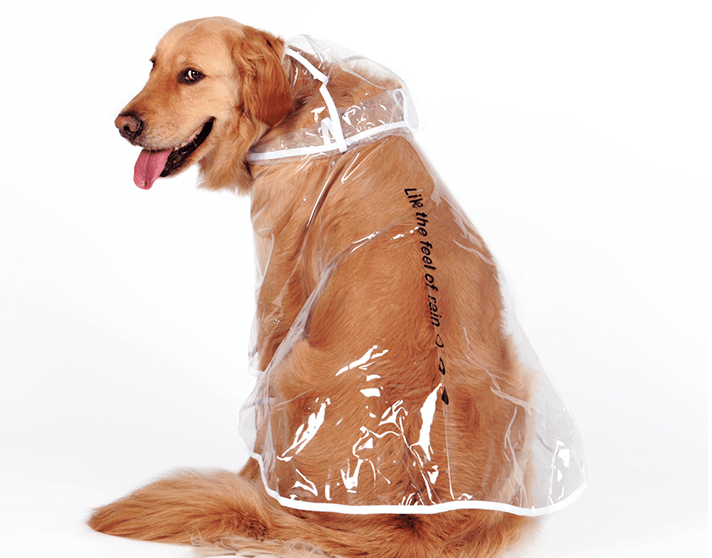 Waterproof Raincoat for dogs- Dogs