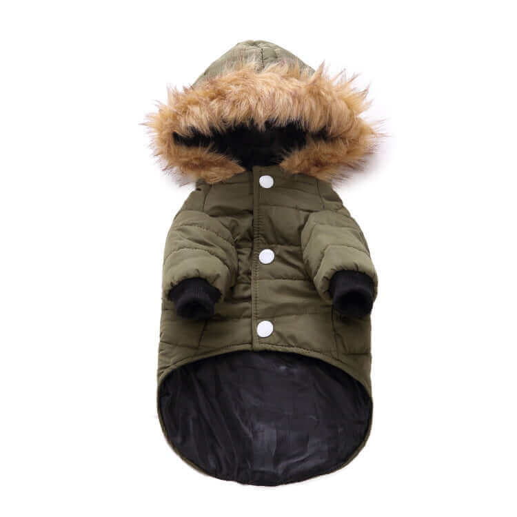 Winter Clothing For Dogs - Dog