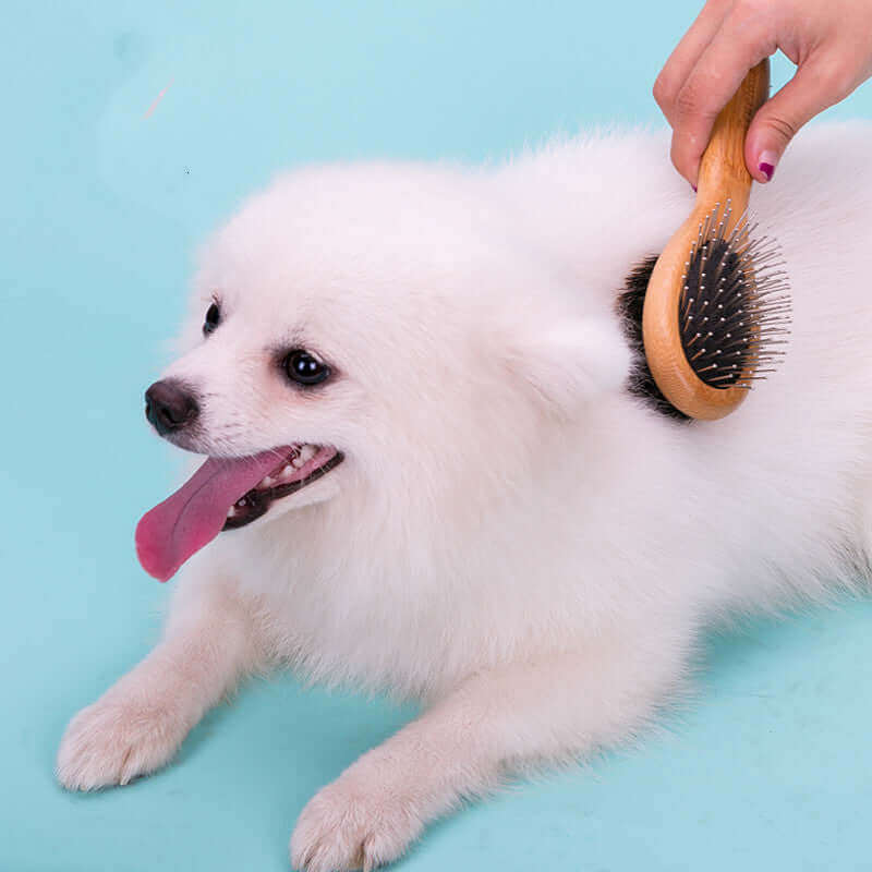 Dog Cleaning Brush - Dog