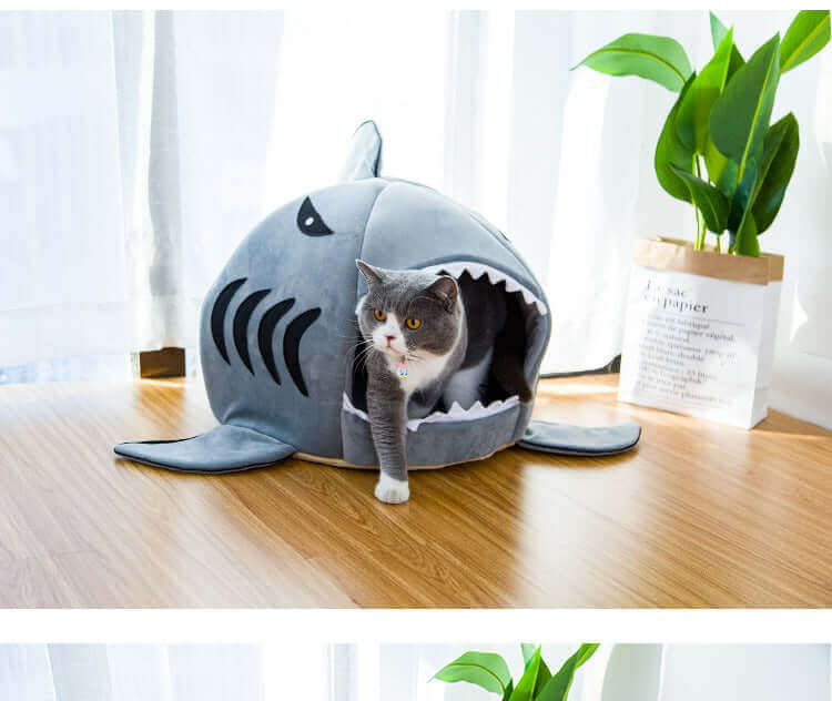 Shark Warm Pet Bed - Dog and Cats