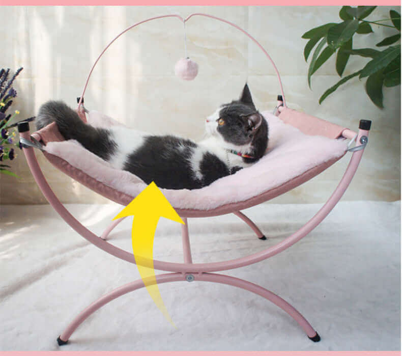 Cat Recliner Bed - Cat