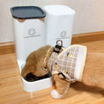 Load image into Gallery viewer, Automatic Feeding and Water Feeder- Dogs and Cats
