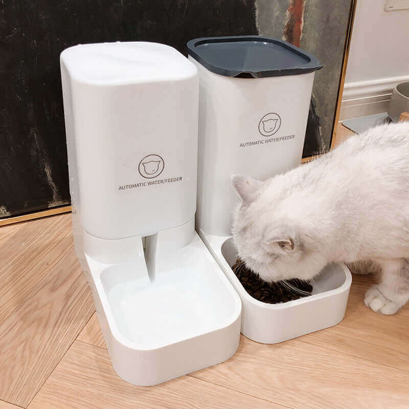 Automatic Feeding and Water Feeder- Dogs and Cats