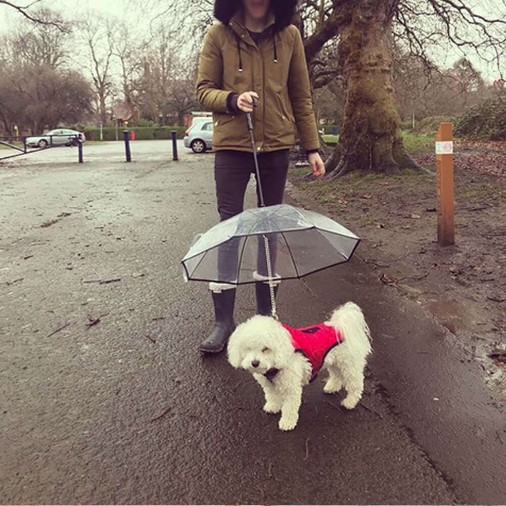 Transparent Dog Umbrella - Dog