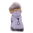 Load image into Gallery viewer, Winter Clothing For Dogs - Dog
