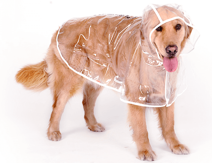 Waterproof Raincoat for dogs- Dogs