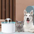 Load image into Gallery viewer, Pet Water Fountain - Dogs and Cats
