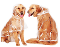 Load image into Gallery viewer, Waterproof Raincoat for dogs- Dogs
