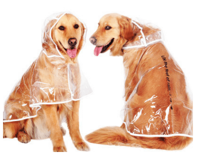 Waterproof Raincoat for dogs- Dogs