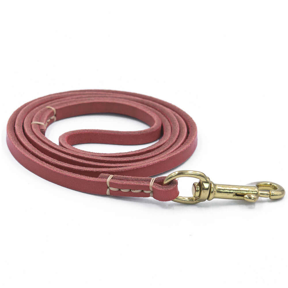 Genuine Leather Dog Leash - Dog