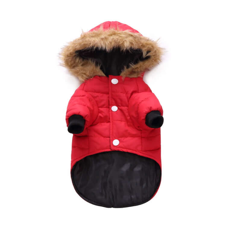 Winter Clothing For Dogs - Dog