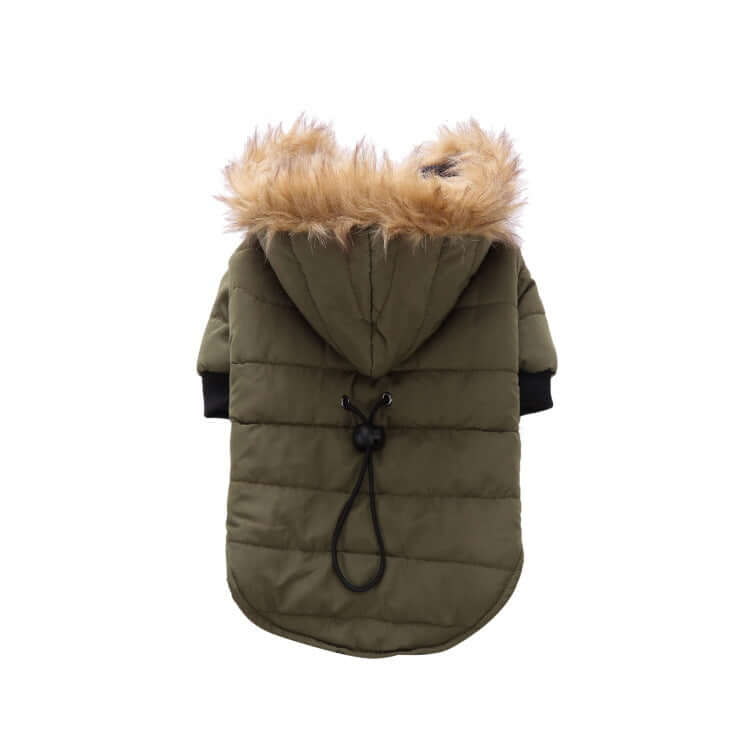 Winter Clothing For Dogs - Dog