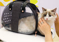 Load image into Gallery viewer, Transparent Cat Bag - Cat
