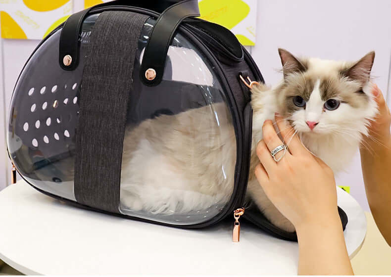 Transparent Cat Bag - Cat