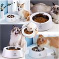 Load image into Gallery viewer, Dog Weighing Bowl - Dog
