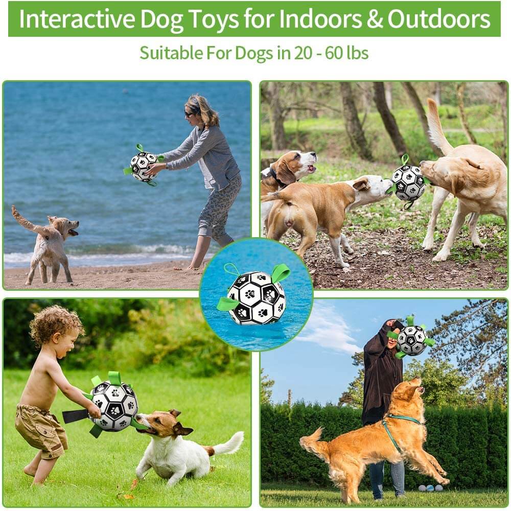 Dog Interactive Soccer Ball - Dog