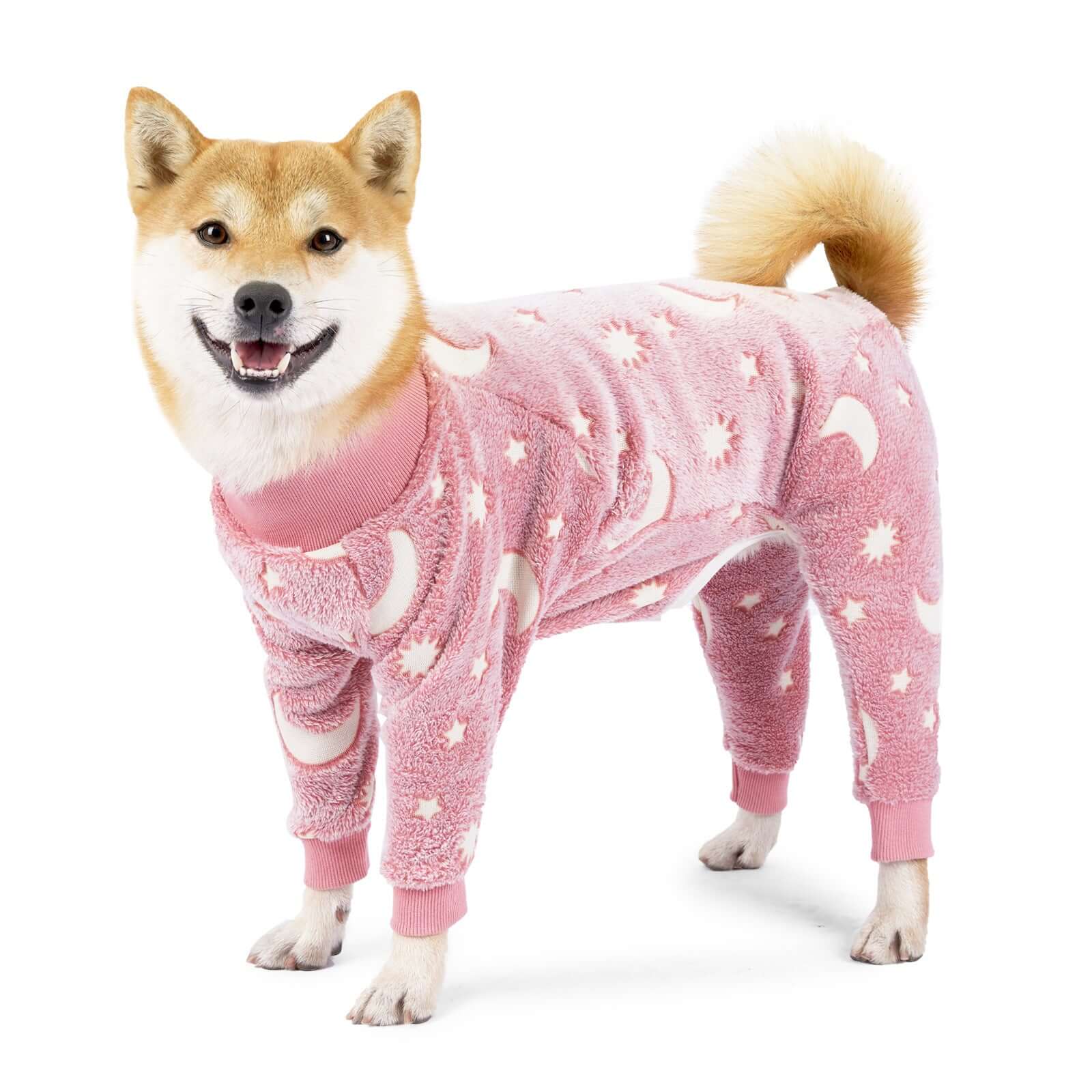 Winter Dog Pajamas - Dog