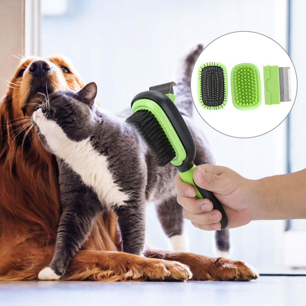 Versatile 5 in 1 pet grooming brush