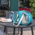 Load image into Gallery viewer, Transparent Cat Bag - Cat
