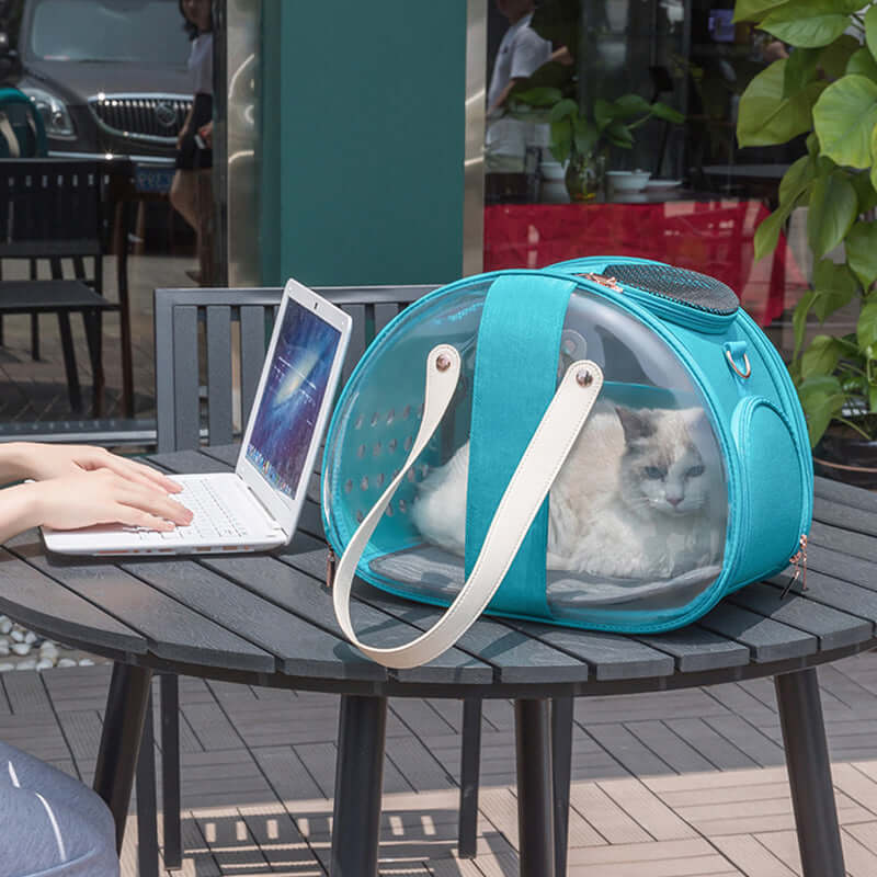 Transparent Cat Bag - Cat