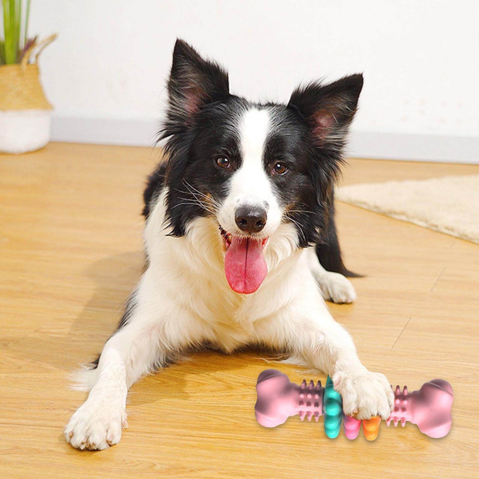 Dog Teeth Cleaning Toy - Dog