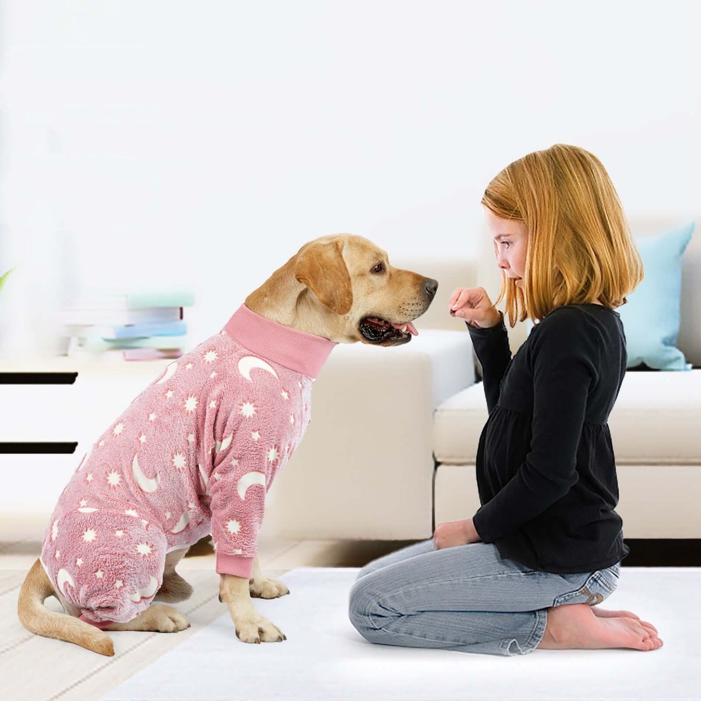 Winter Dog Pajamas - Dog