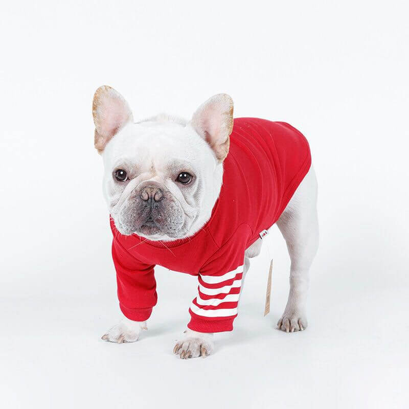 Dog Sweaters - Dog