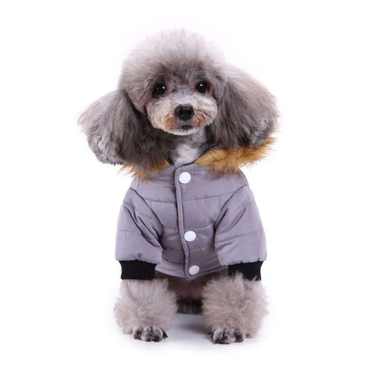 Winter Clothing For Dogs - Dog