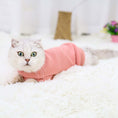 Load image into Gallery viewer, Hairless Cat Simple Clothing - Cat
