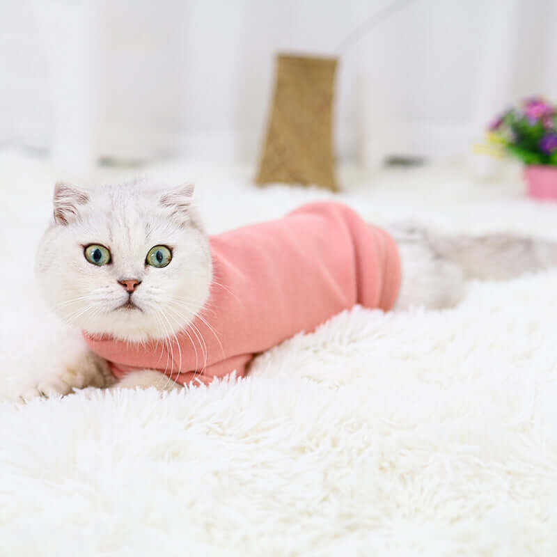 Hairless Cat Simple Clothing - Cat