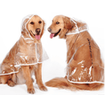 Load image into Gallery viewer, Waterproof Raincoat for dogs- Dogs
