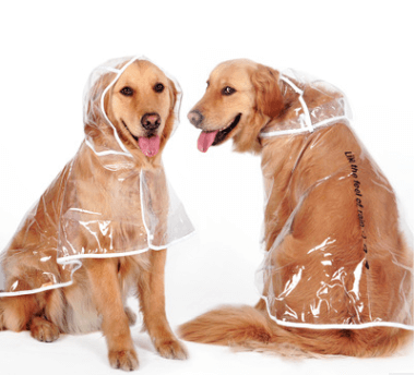 Waterproof Raincoat for dogs- Dogs