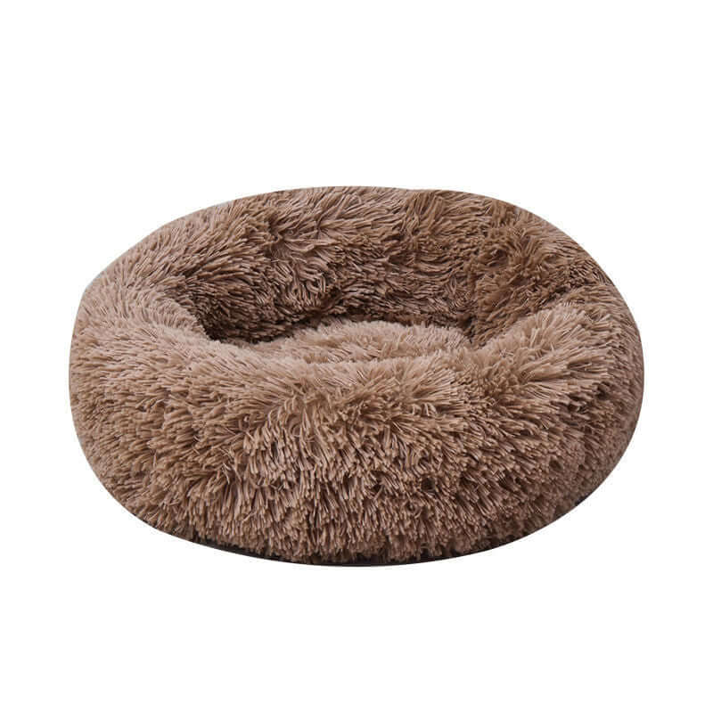 Pet Plain Bed - Dog and Cats