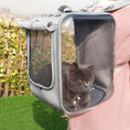 Load image into Gallery viewer, Cat Transparent Bag - Cat
