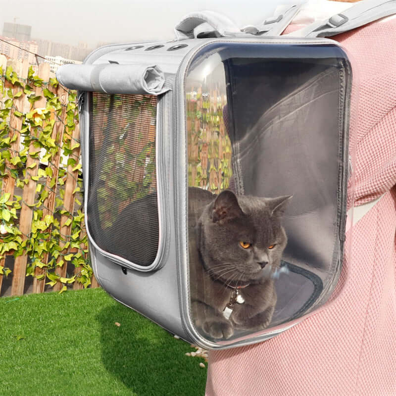 Cat Transparent Bag - Cat