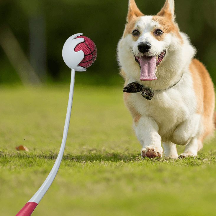 Dog Ball Launcher - Dog