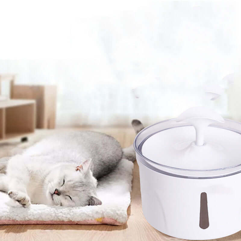 Pet Water Fountain - Dogs and Cats