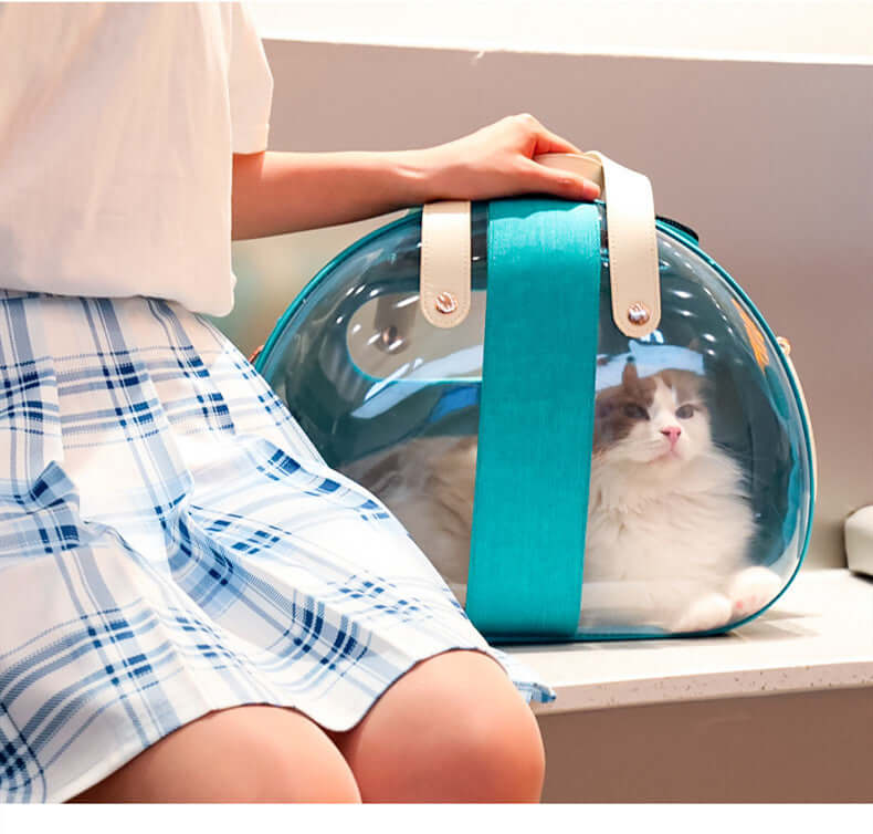 Transparent Cat Bag - Cat