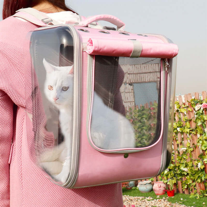 Cat Transparent Bag - Cat