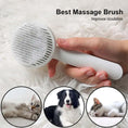 Load image into Gallery viewer, Pet Cleaning Brush - Dog and Cats
