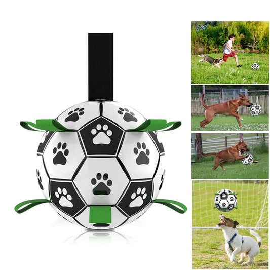 Dog Interactive Soccer Ball - Dog