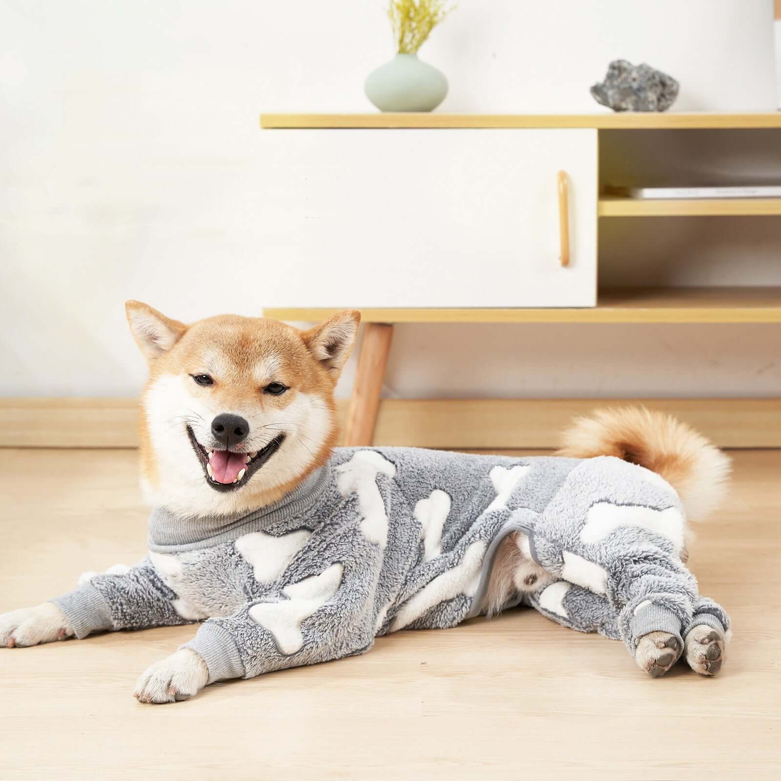 Winter Dog Pajamas - Dog