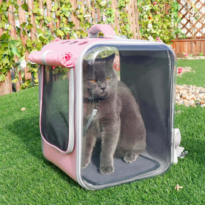 Cat Transparent Bag - Cat