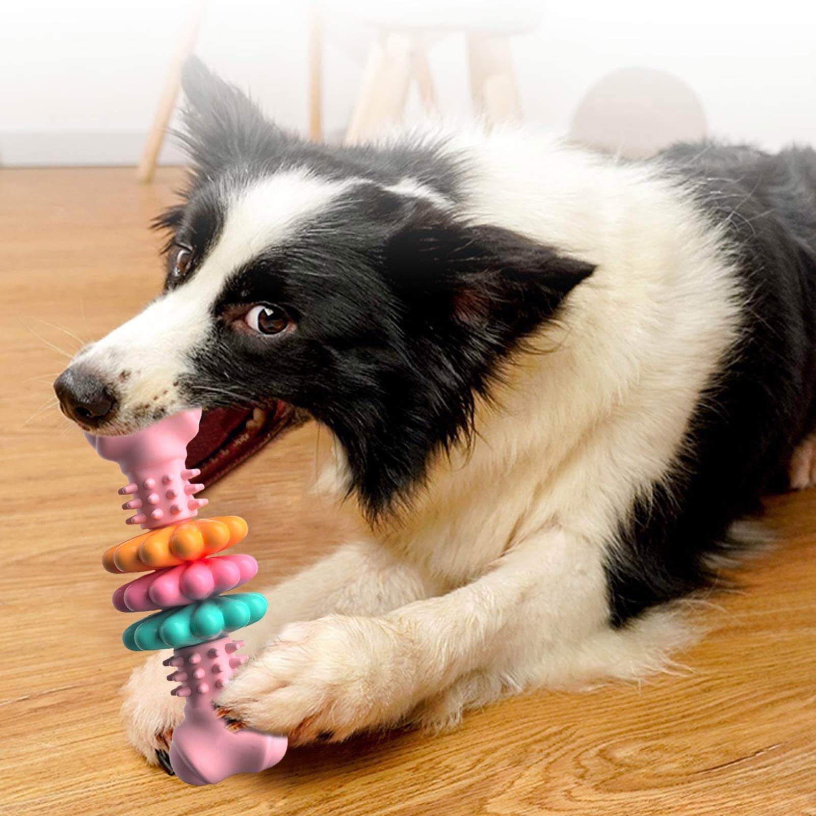 Dog Teeth Cleaning Toy - Dog