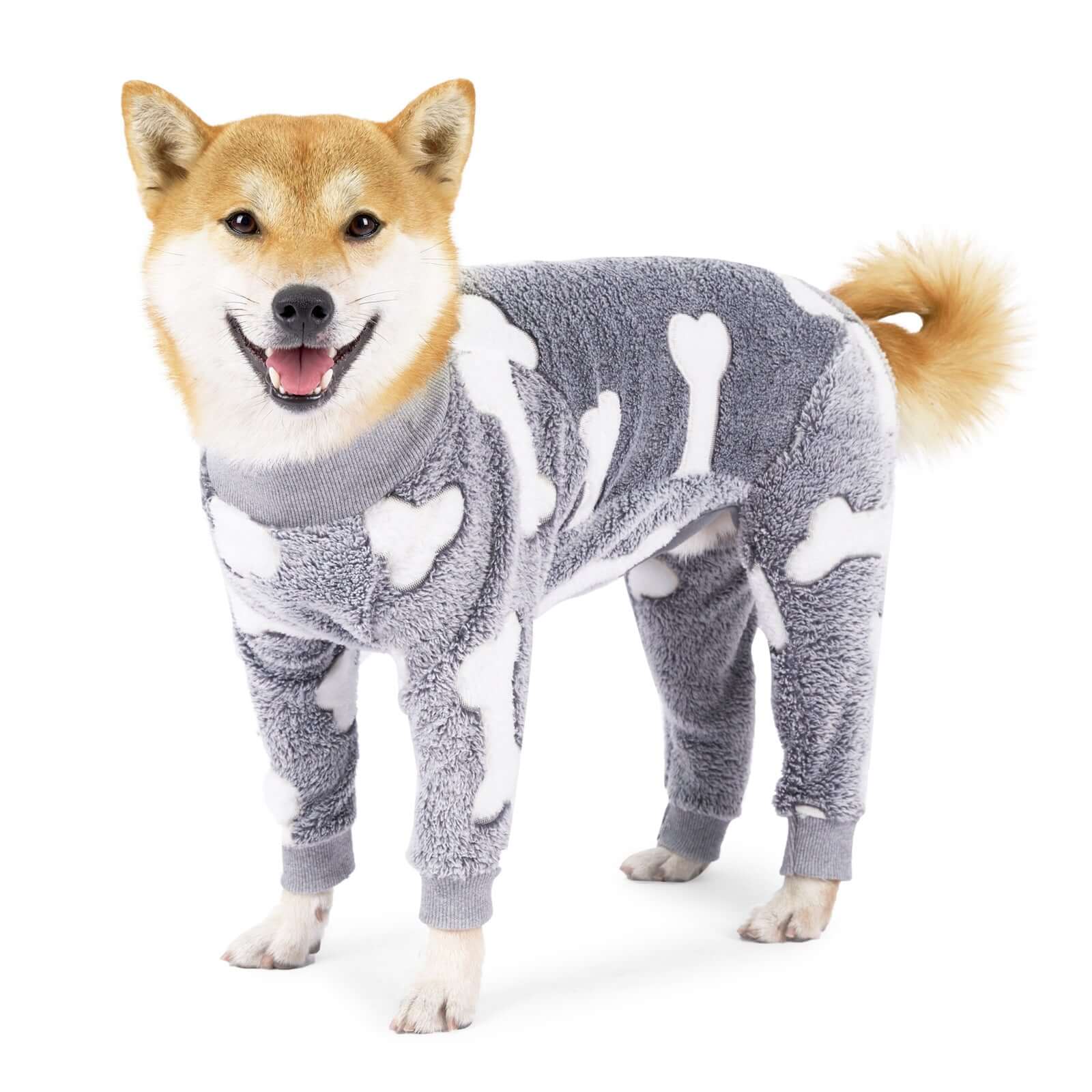 Winter Dog Pajamas - Dog